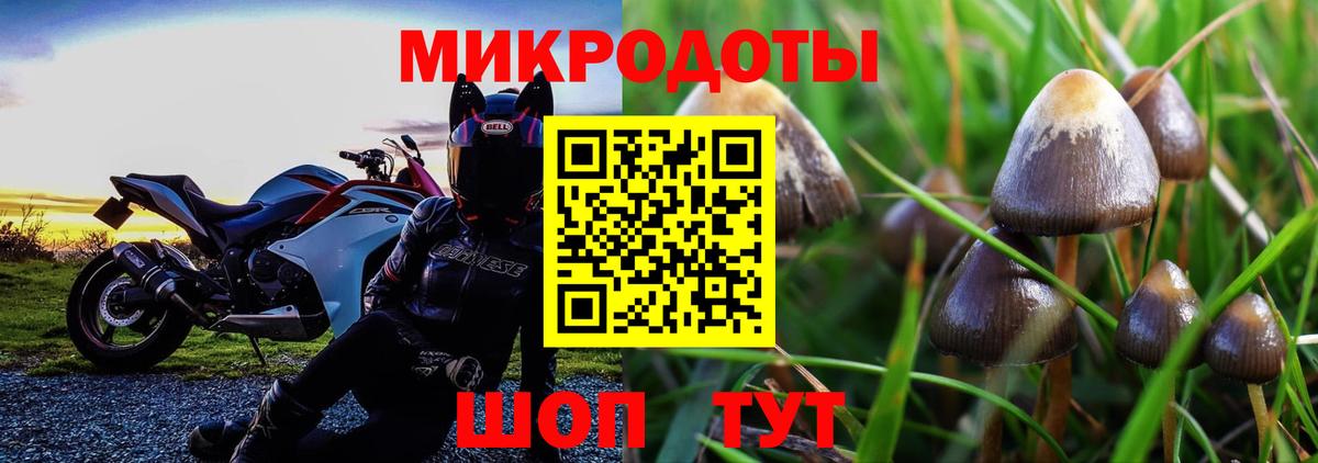 Псилоцибиновые грибы Cubensis  Вход с VPN  Северобайкальск  Галлюциногенные грибы мухоморы 